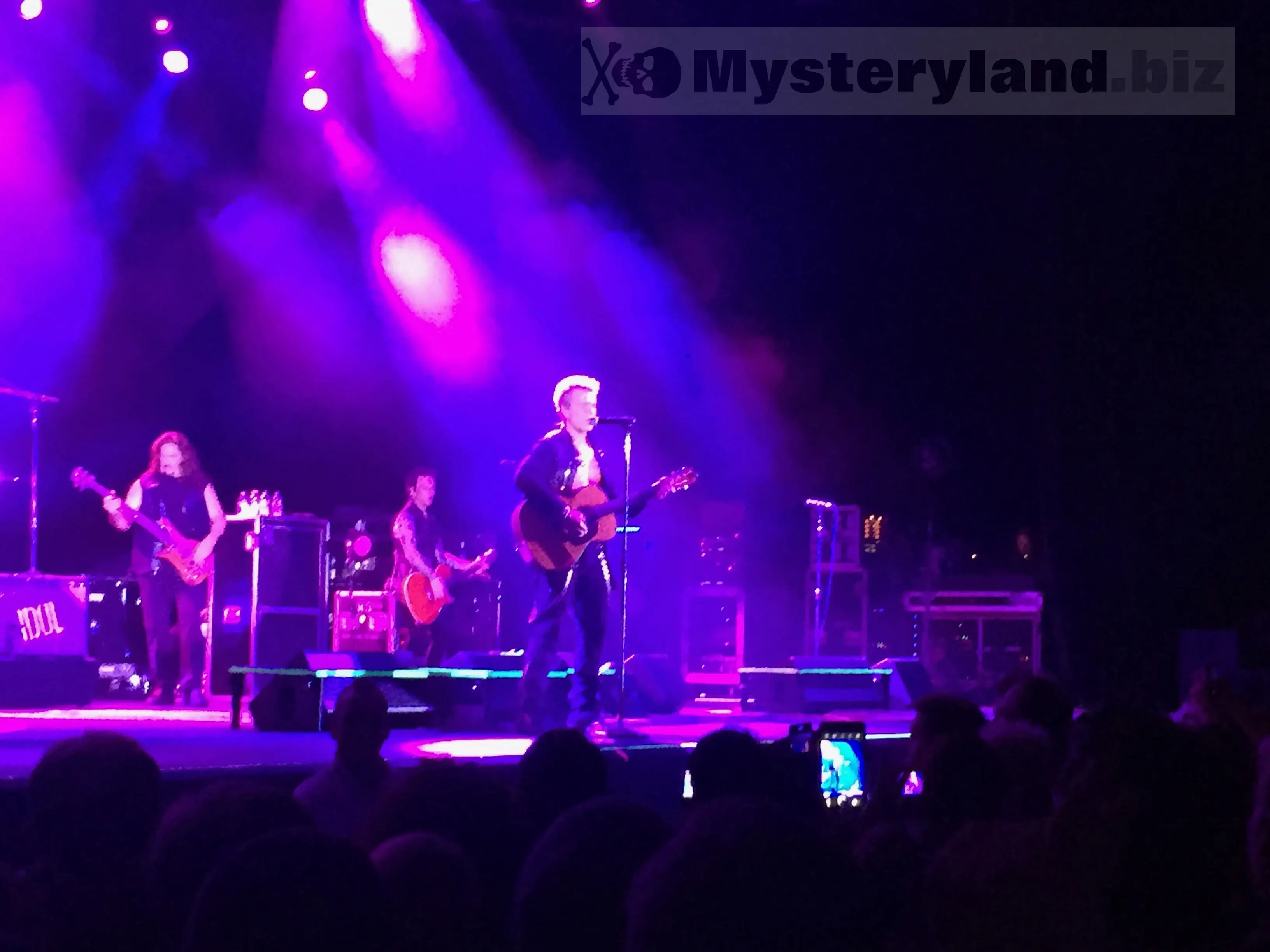 Billy Idol live am 18. November 2014